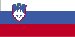 slovenian New Jersey - Tên Nhà nước (Chi nhánh) (Trang 1)